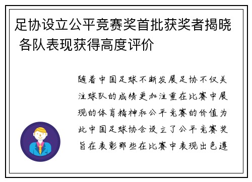 足协设立公平竞赛奖首批获奖者揭晓 各队表现获得高度评价