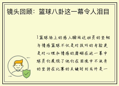 镜头回顾：篮球八卦这一幕令人泪目